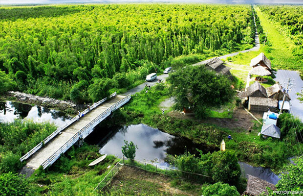 Hình ảnh về Rừng quốc gia U Minh Hạ