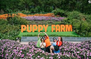 Hình ảnh về Nông Trại Cún Puppy Farm